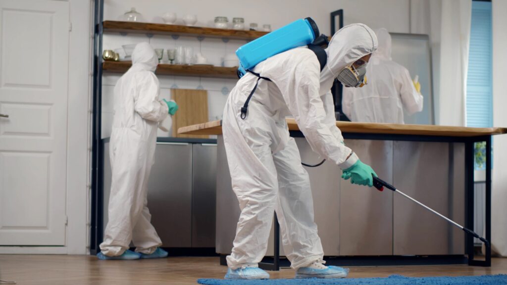 Best Bed Bug Exterminators In California